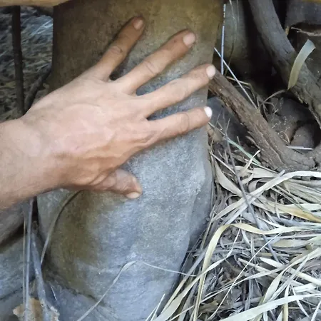 La Del Don Ganapati * San Bartolomé