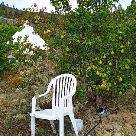 La Del Don Ganapati San Bartolomé